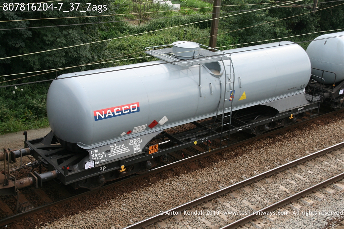 807816204-7_37_Zags.JPG
